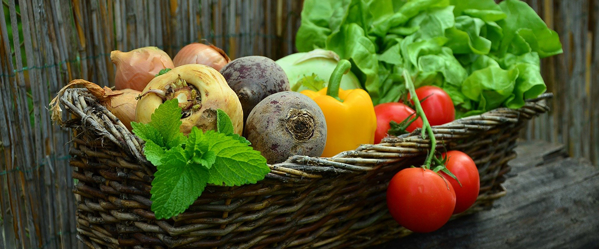 Food Produce